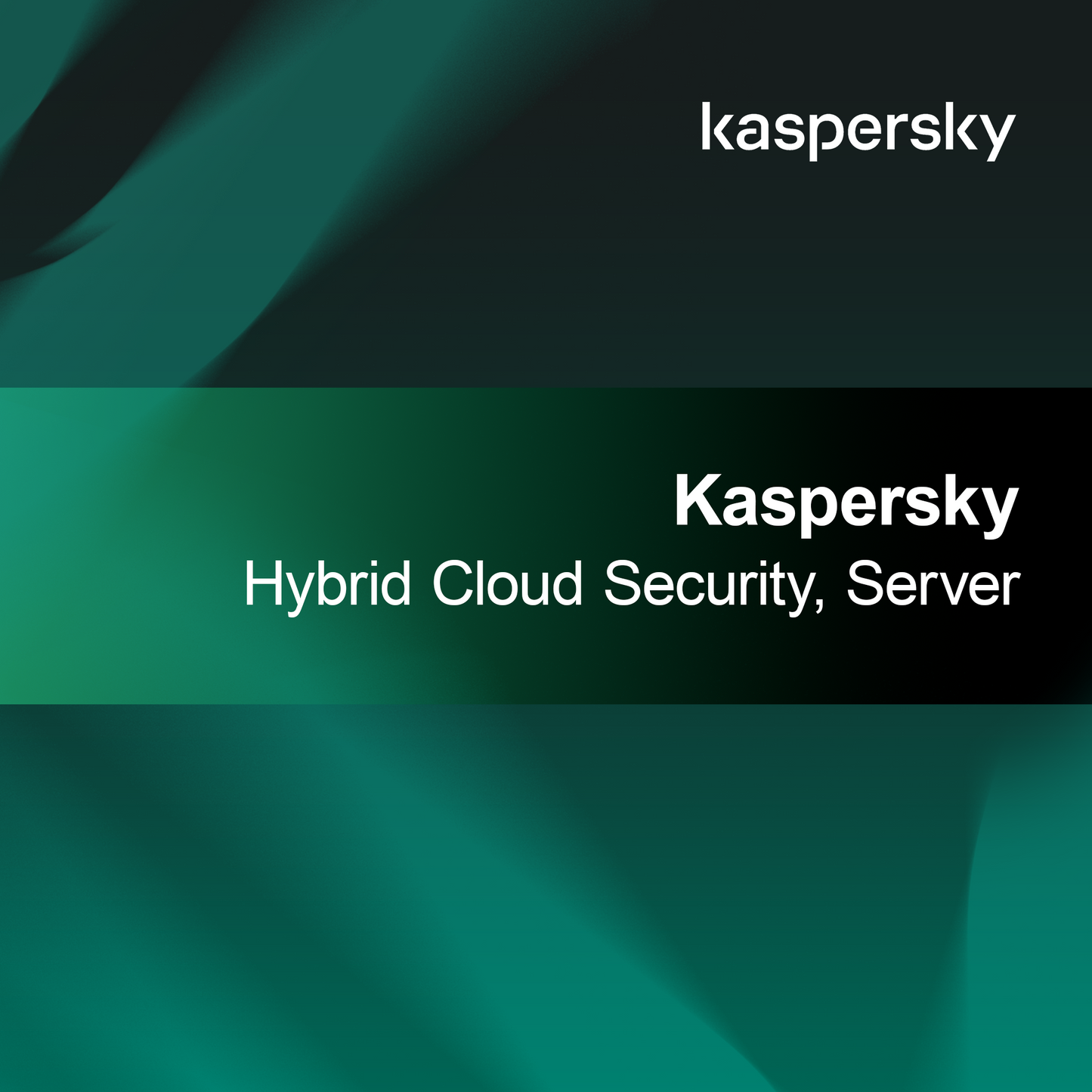 Kaspersky Hibrid Felhőbiztonság, Szerver