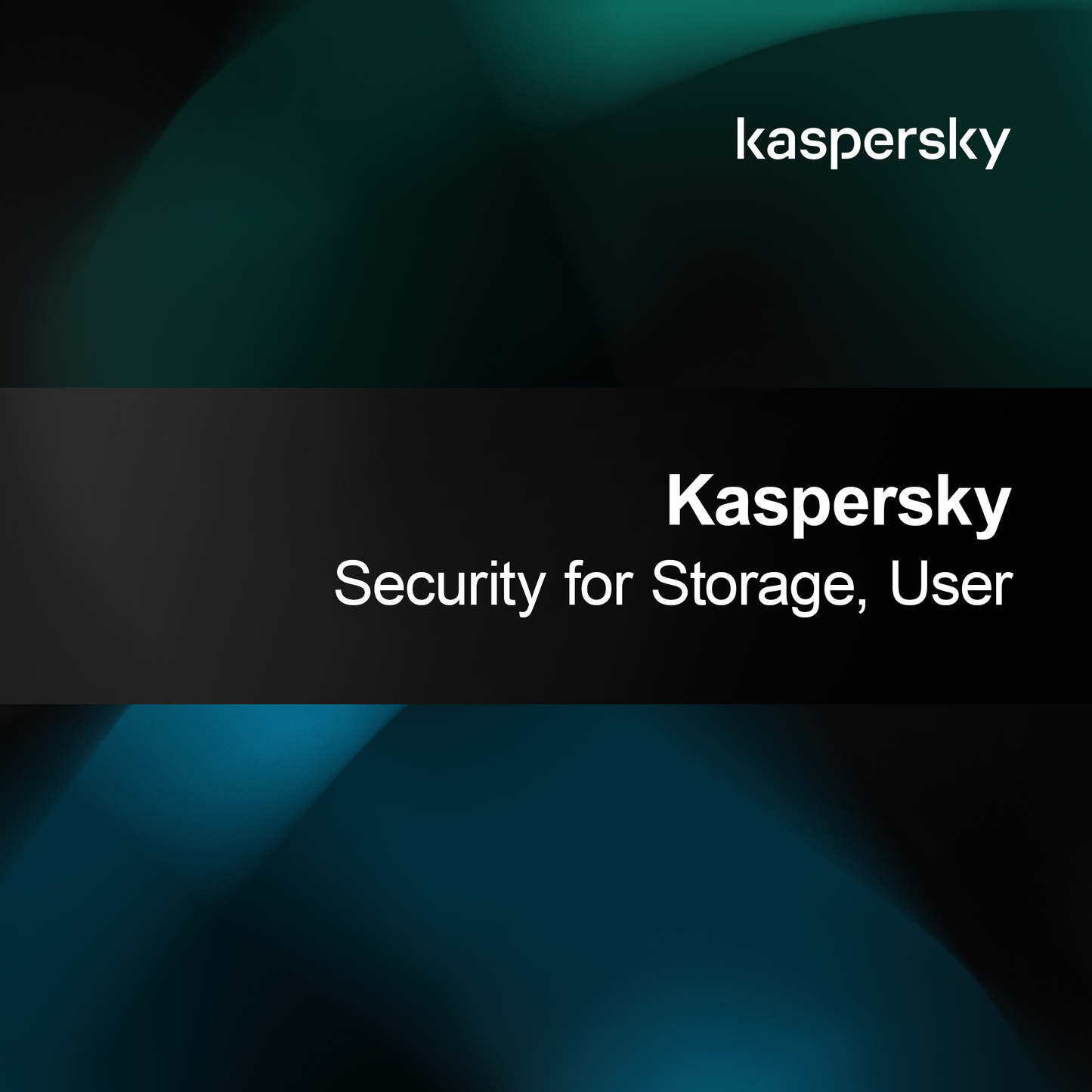 Kaspersky Biztonság Tároláshoz, Felhasználó
