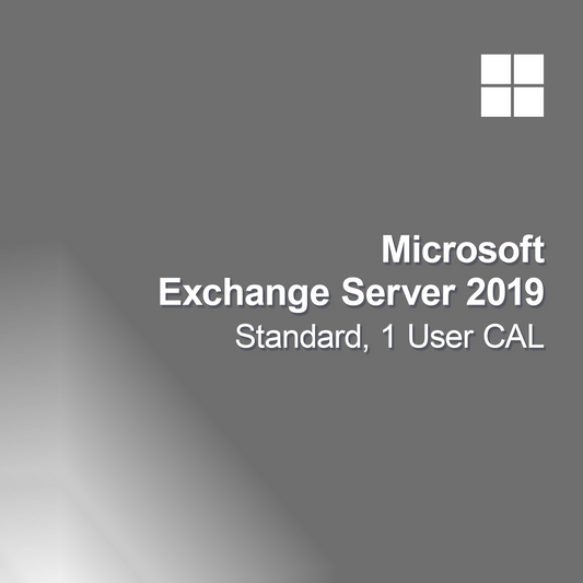 Microsoft Exchange Server 2019 Standard, 1 felhasználói CAL