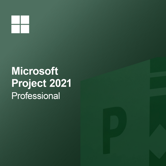 Microsoft Project 2021 Professzionális