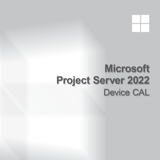 Microsoft Project Server 2022 Eszköz CAL