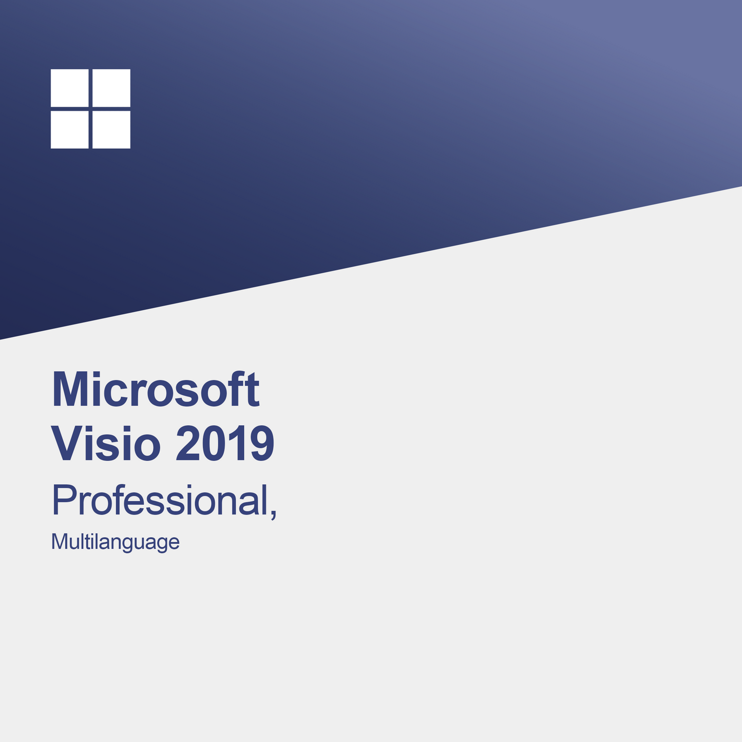 Microsoft Visio 2019 Professional, Többnyelvű