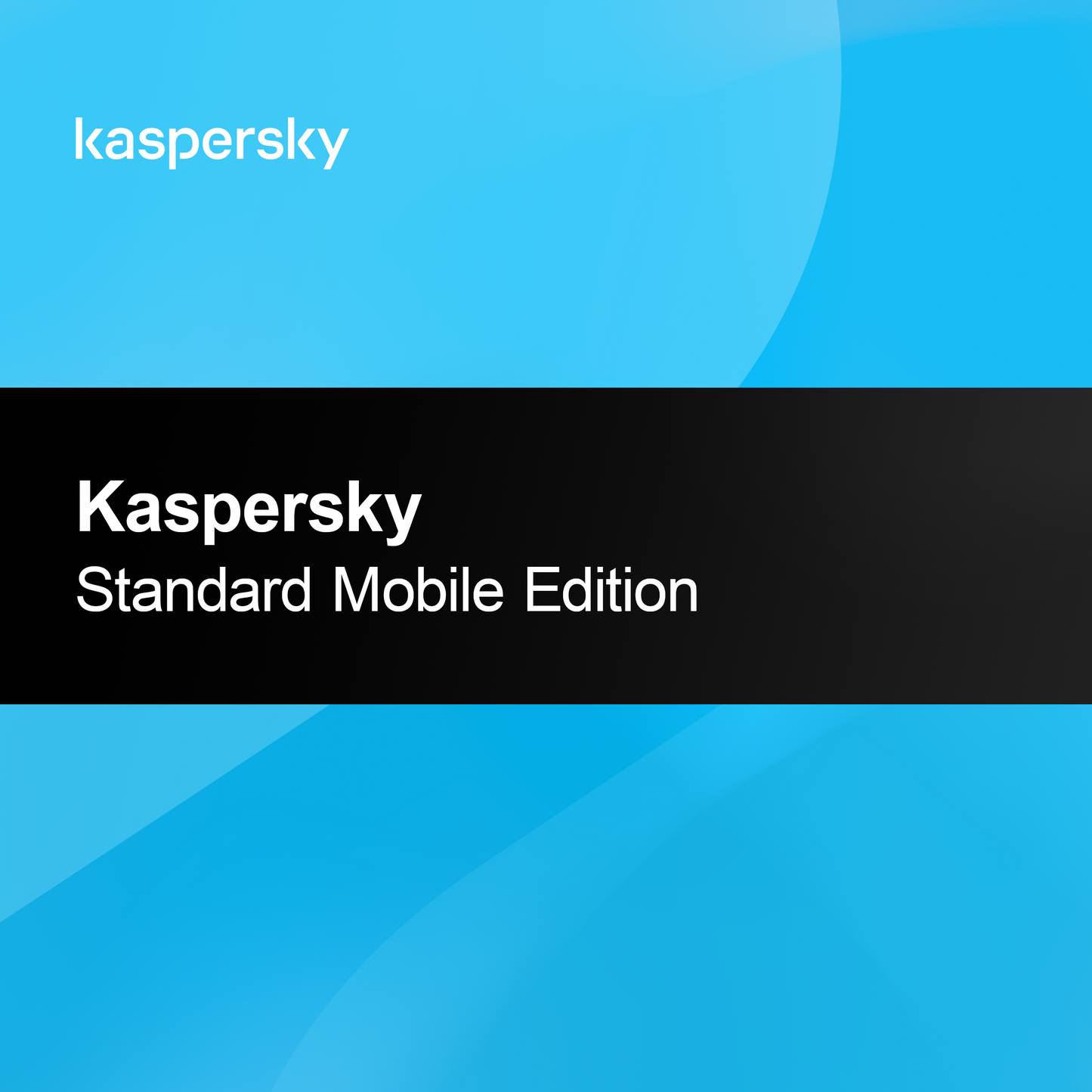 Kaspersky Standard Mobil Kiadás