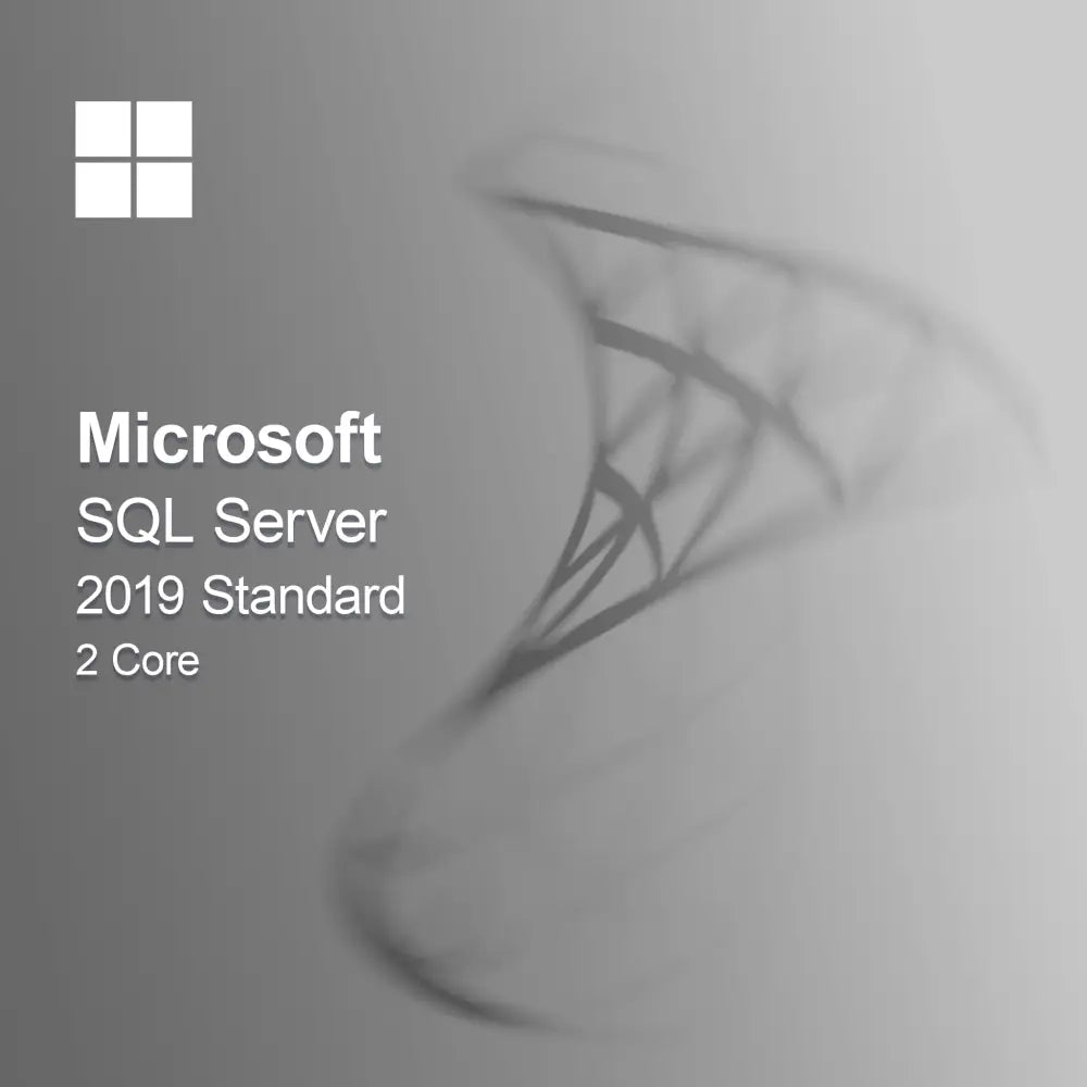 Microsoft SQL Server 2019 Standard 2 mag