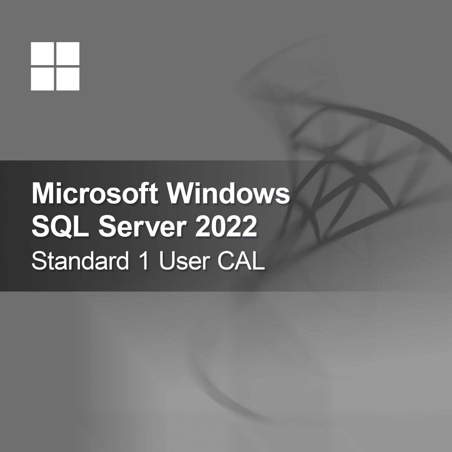 Microsoft SQL Server 2022 Standard 1 felhasználói CAL